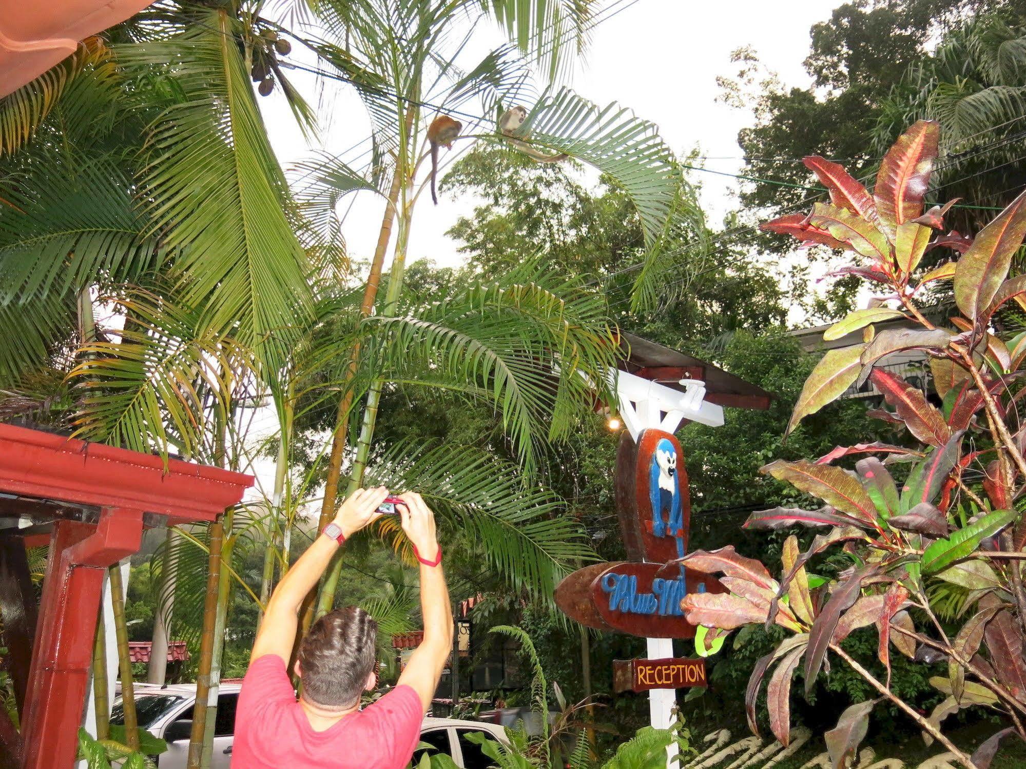 Hotel Mono Azul Quepos Luaran gambar